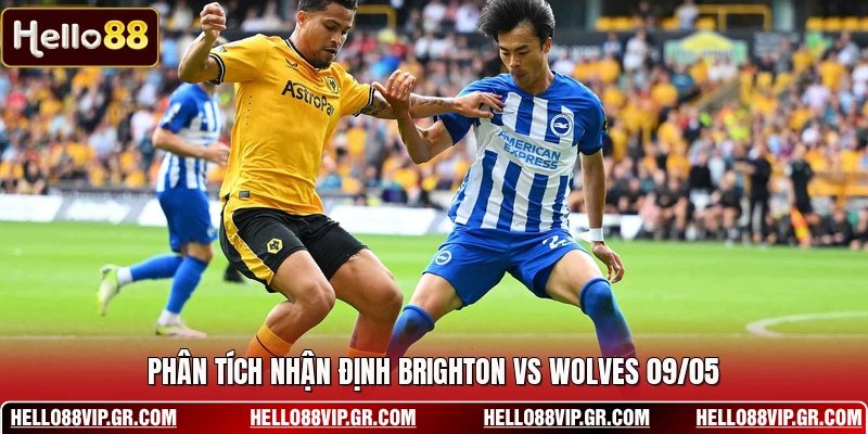 Phân tích nhận định Brighton vs Wolves 09/05