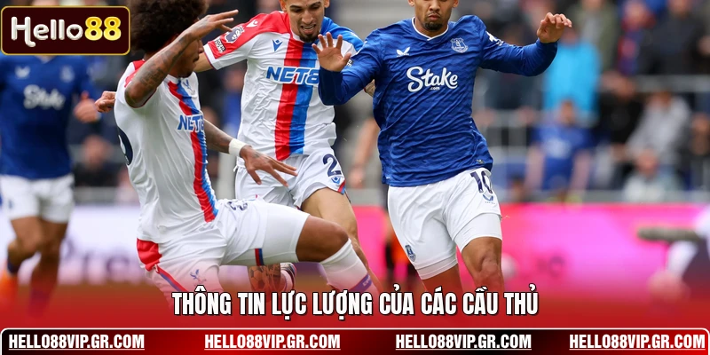 Thông tin lực lượng của các cầu thủ