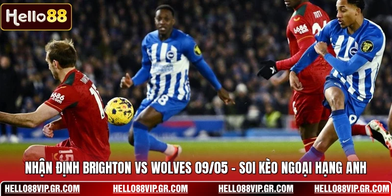 Nhận Định Brighton Vs Wolves 09/05 - Soi Kèo Ngoại Hạng Anh